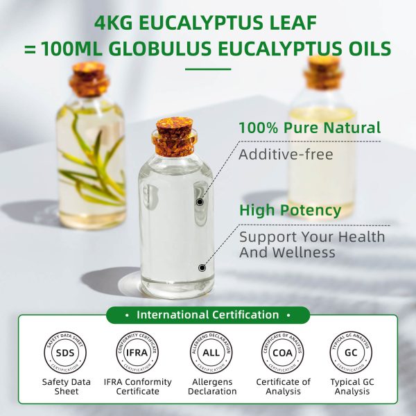 100% Pure Nature Eucalyptus Oil for Sauna Aromatherapy (5)