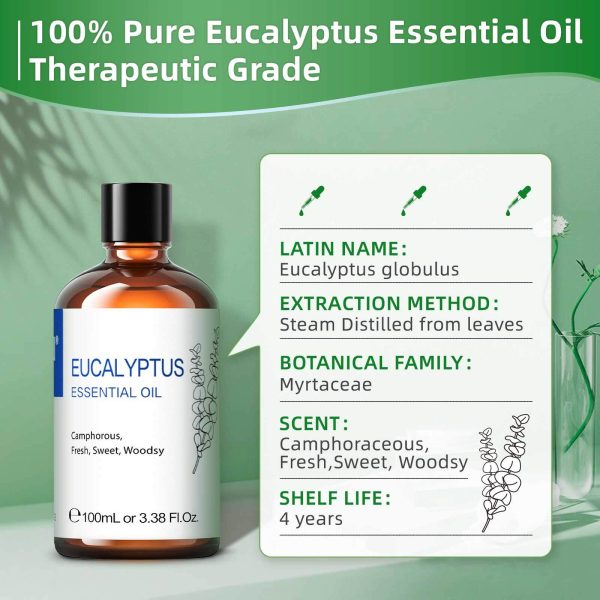 100% Pure Nature Eucalyptus Oil for Sauna Aromatherapy (7)